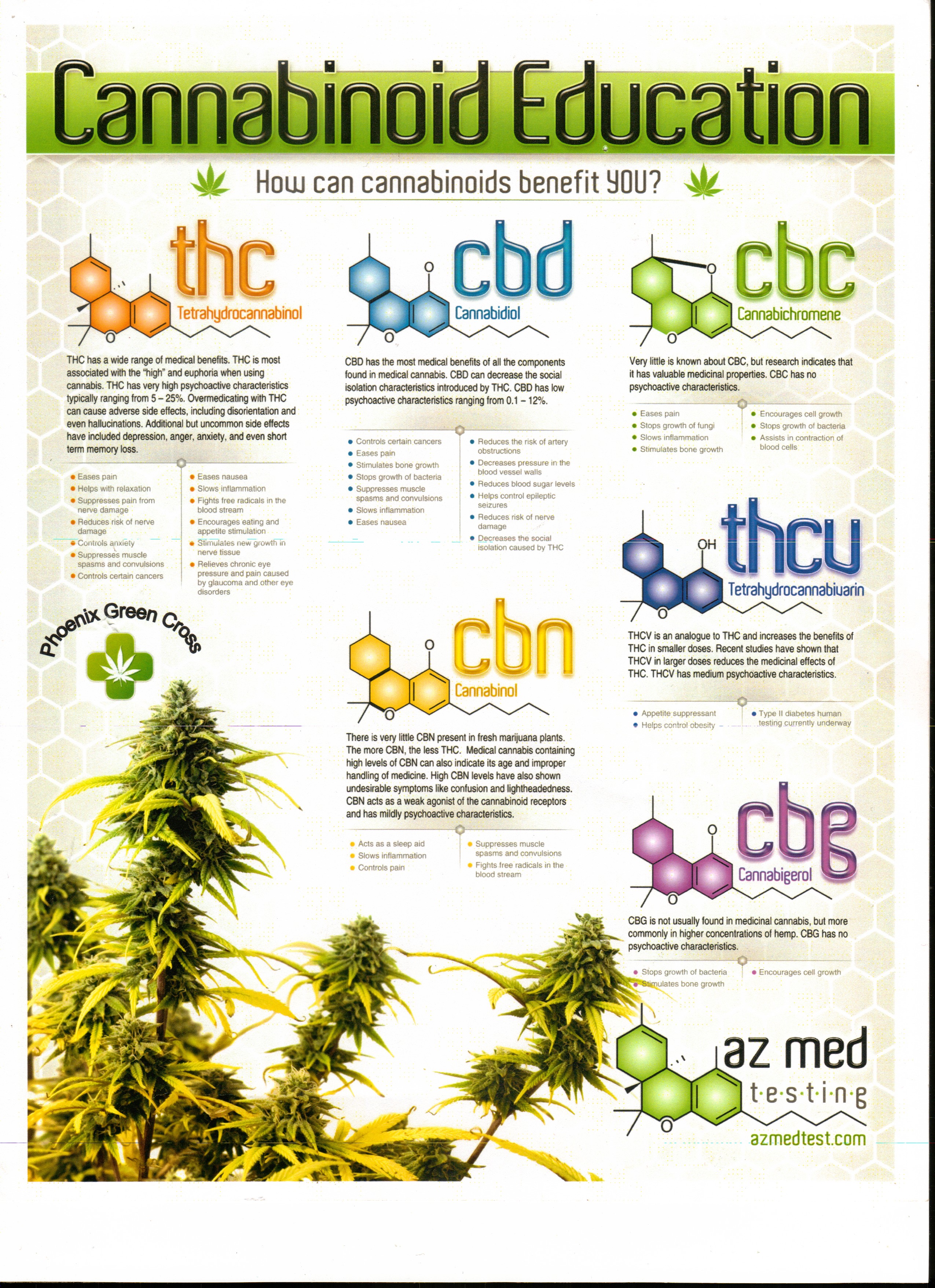 cannabiseducation.jpg